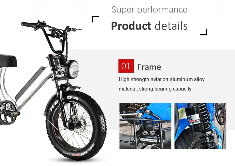 EU Warehouse Adult Fat Tyre Easy Rider 48V 1000W Electric Bike