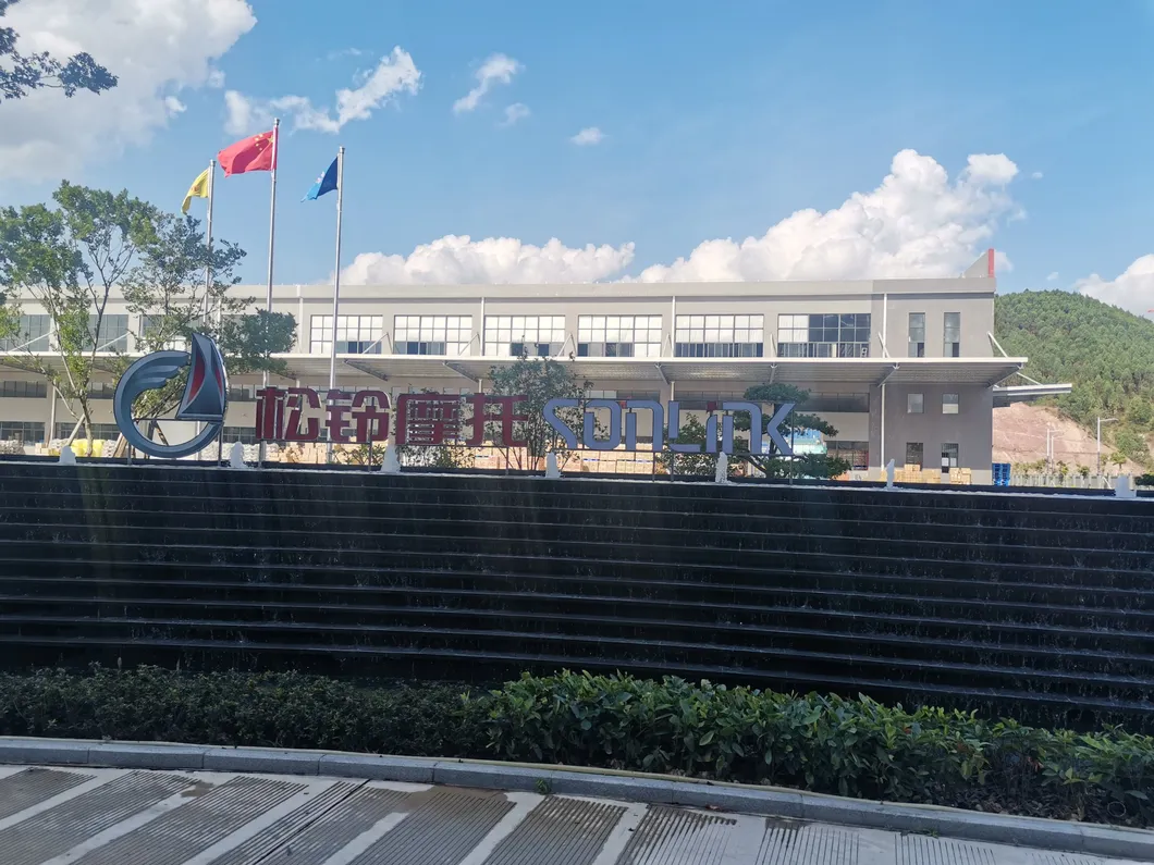 Femme Moto Dame 11occ / 110cc Cub Motorbike / 110 Cc Scooter / 125 Cc Motorcycle