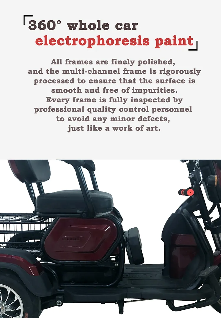 Handicapped Scooters CE Approved 3 Wheel Open Passenger Adult 3 Wheel Electric Tricycle