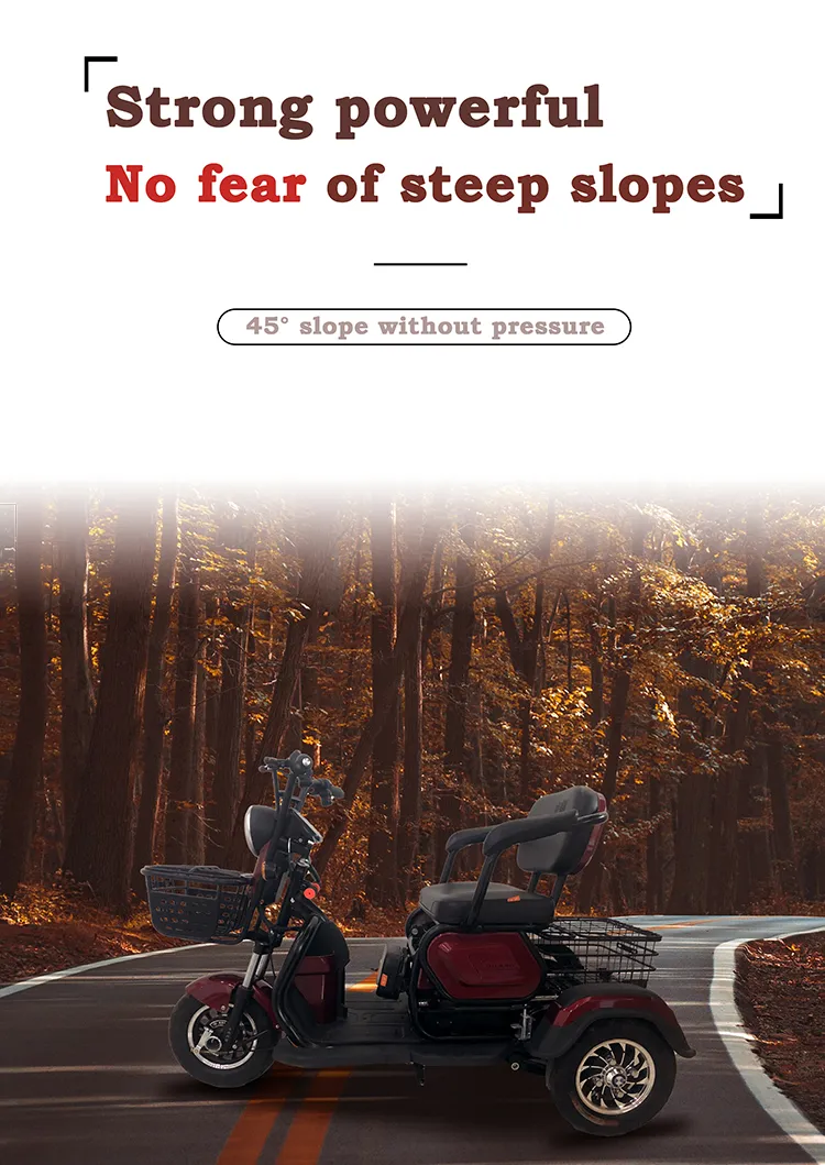 Handicapped Scooters CE Approved 3 Wheel Open Passenger Adult 3 Wheel Electric Tricycle