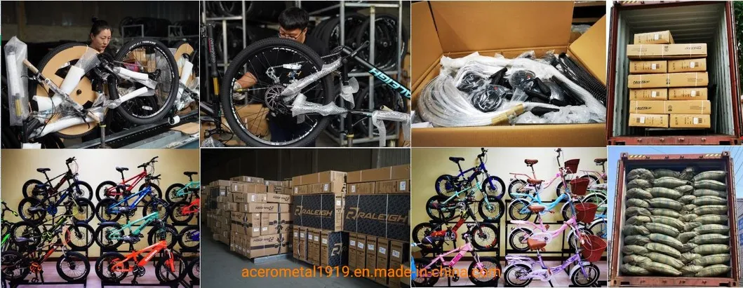 High Carbon Steel Adult Women/Mensports Racing Mountain Cycle Bike, China Factory Manufacturer Wholesale OEM 26"/27.5"/29"V- Break Customized Mountain Bicycle