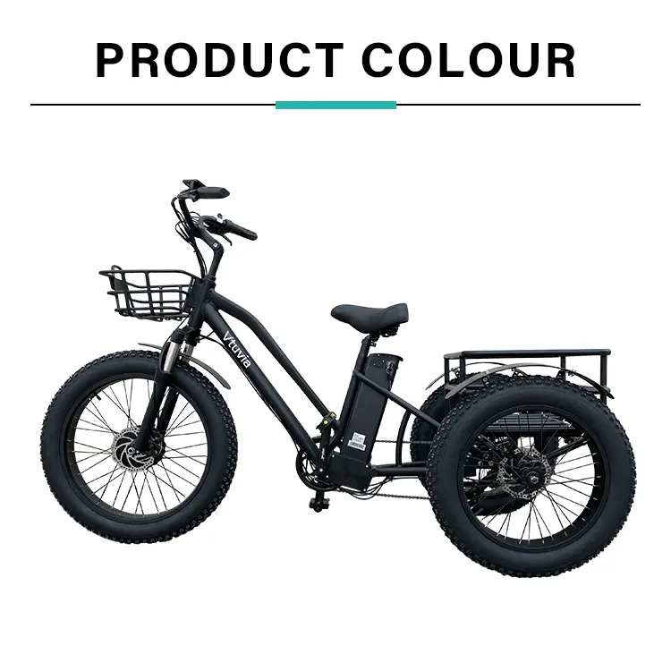 High Quality E-Bike 3 Wheel 48V 500W 750W Electric Fat Tire Tricycle Fat Tyre Electric Trike