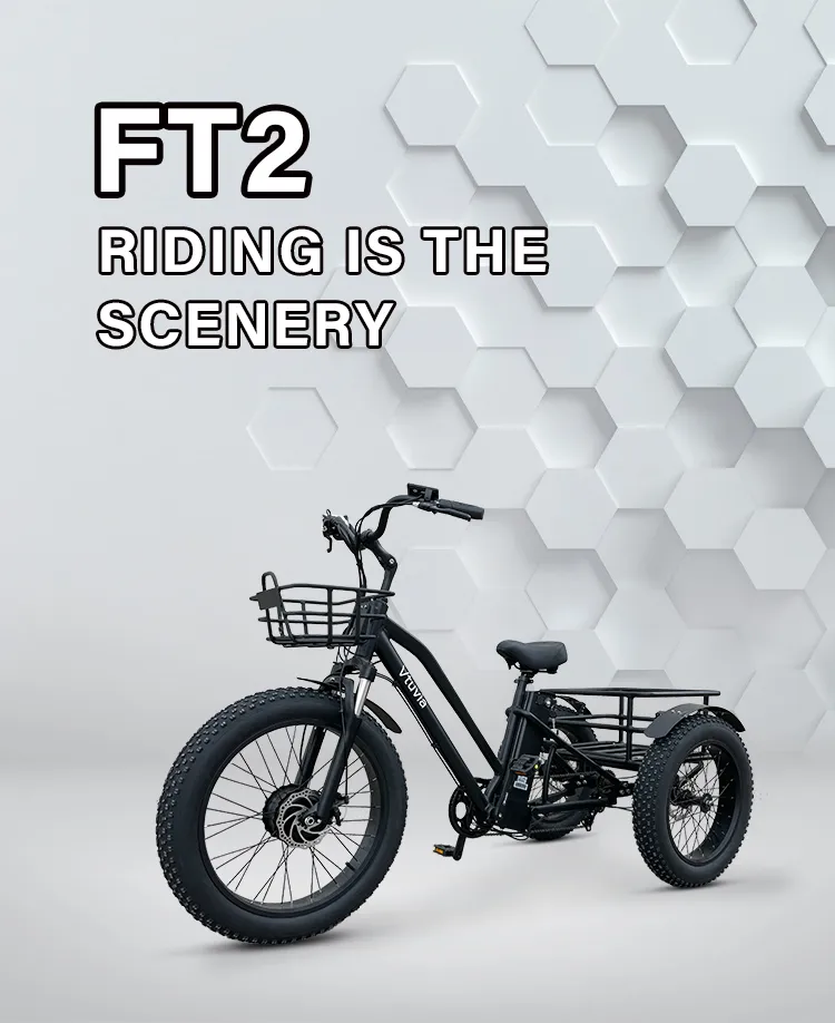 High Quality E-Bike 3 Wheel 48V 500W 750W Electric Fat Tire Tricycle Fat Tyre Electric Trike