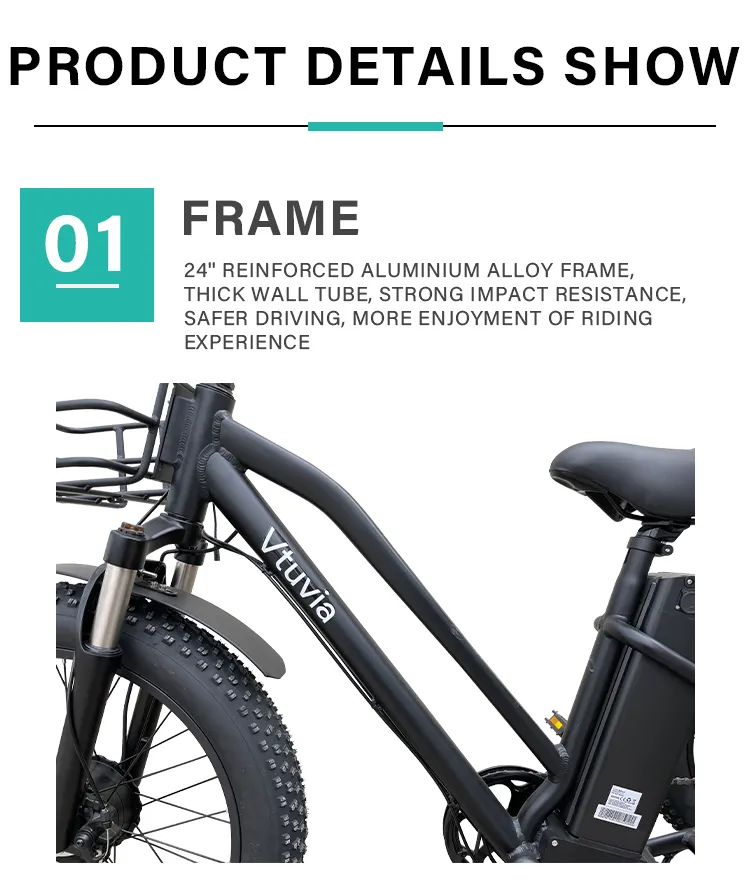 High Quality E-Bike 3 Wheel 48V 500W 750W Electric Fat Tire Tricycle Fat Tyre Electric Trike