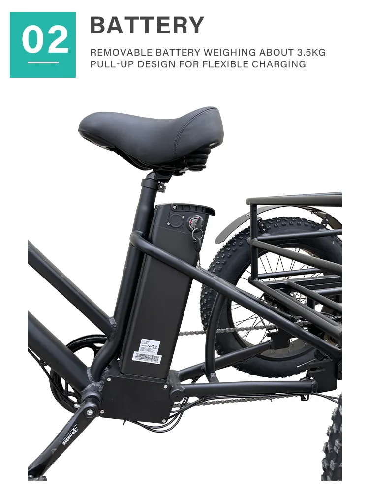 High Quality E-Bike 3 Wheel 48V 500W 750W Electric Fat Tire Tricycle Fat Tyre Electric Trike
