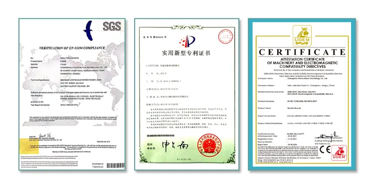 High Quality E-Bike 3 Wheel 48V 500W 750W Electric Fat Tire Tricycle Fat Tyre Electric Trike