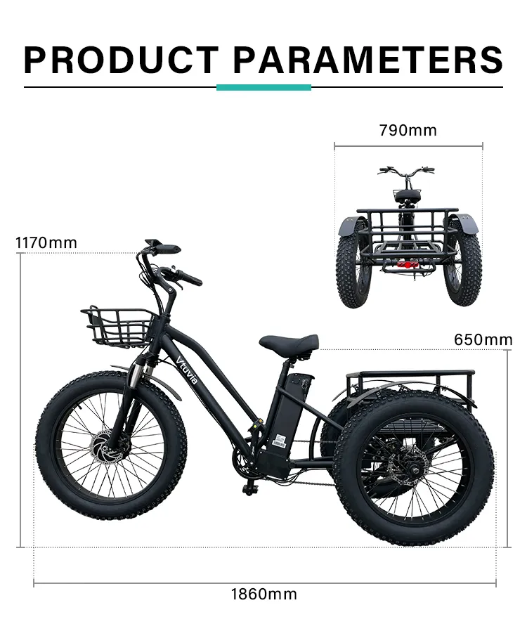 High Quality E-Bike 3 Wheel 48V 500W 750W Electric Fat Tire Tricycle Fat Tyre Electric Trike