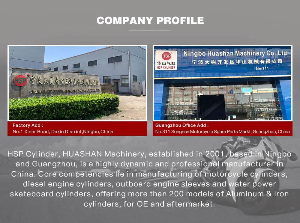 High Quality Motorcycle Parts Cylinder Block Kit for Honda WH100 (GCC100) WH110 (GGC110)