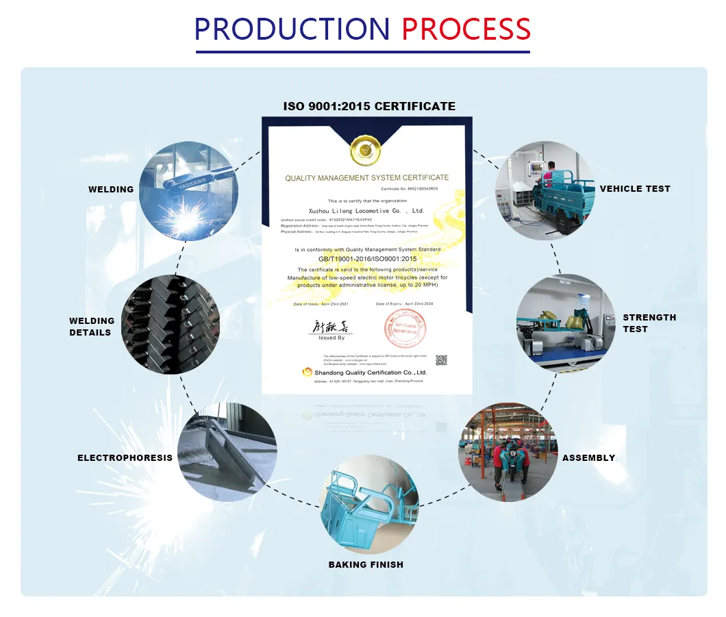 High Quality Zero Emission Leisure Tricycle Three Wheeler Motorcycle