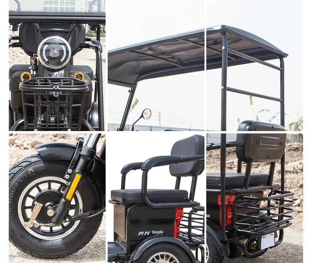 High Quality Zero Emission Leisure Tricycle Three Wheeler Motorcycle