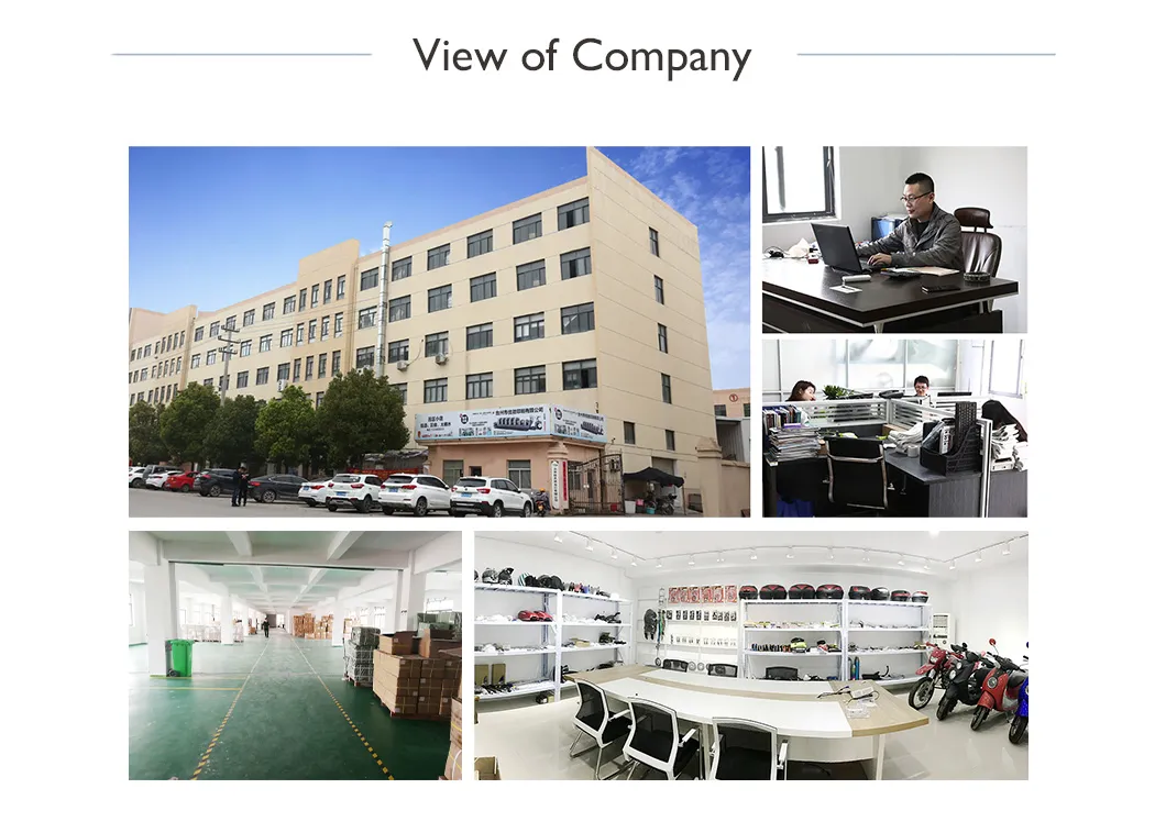 Honda Tornado250 Motorcycle Parts Motorcycle Stator Magneto Coil