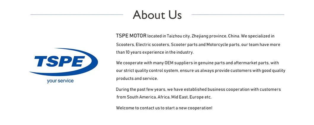 Honda Tornado250 Motorcycle Parts Motorcycle Stator Magneto Coil