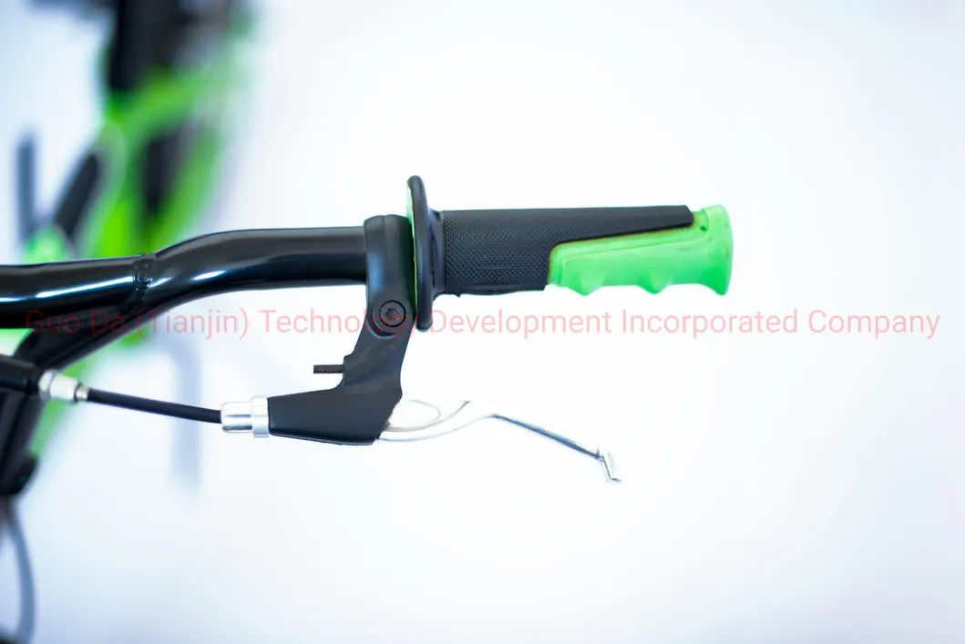 Hot Sale BMX Bike with 20 Inches CE Certification