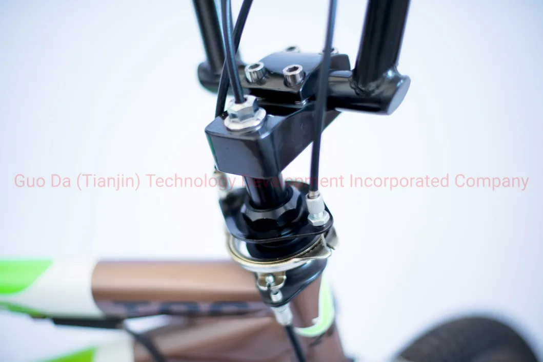 Hot Sale BMX Bike with 20 Inches CE Certification