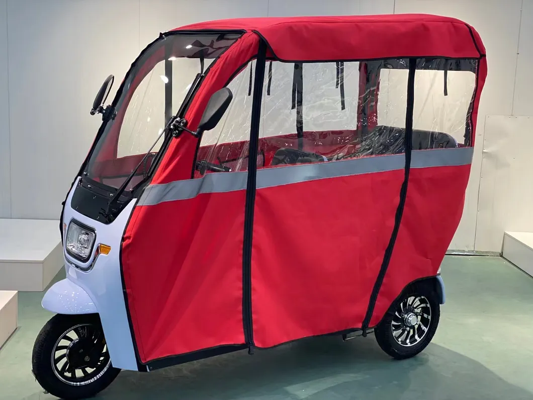 Hot Sale E Trike Motorized Tricycles with Roof for Passenger