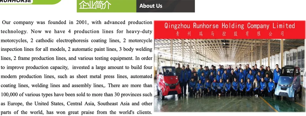 J1 3 Wheel EEC L2e Coc Approved Passenger Electric Car