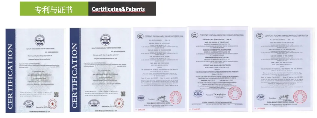 J1 3 Wheel EEC L2e Coc Approved Passenger Electric Car