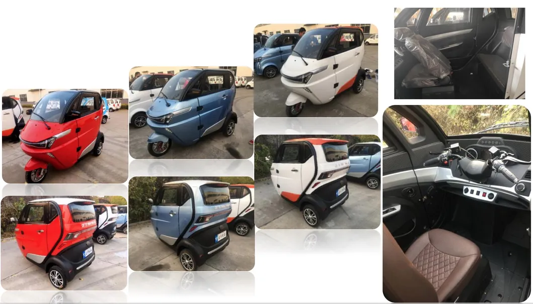 J1 3 Wheel EEC L2e Coc Approved Passenger Electric Car