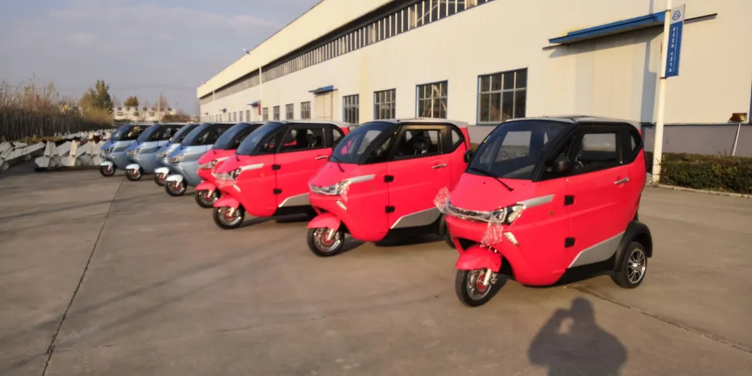 J1 3 Wheel EEC L2e Coc Approved Passenger Electric Car