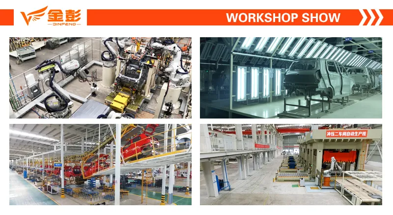 Jinpeng Electric Tricycle for Handicapped with EEC Model