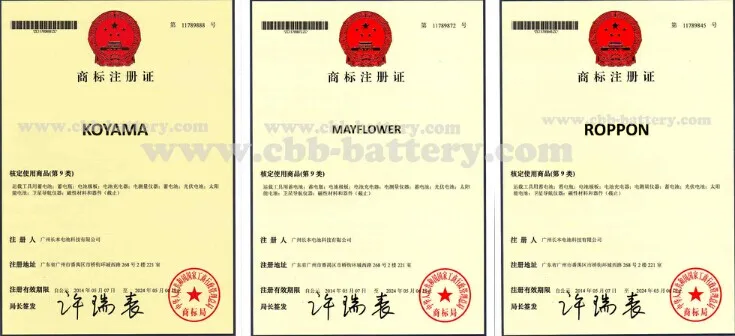 Koyama 12V24ah Sealed Rechargeable Battery Np24-12