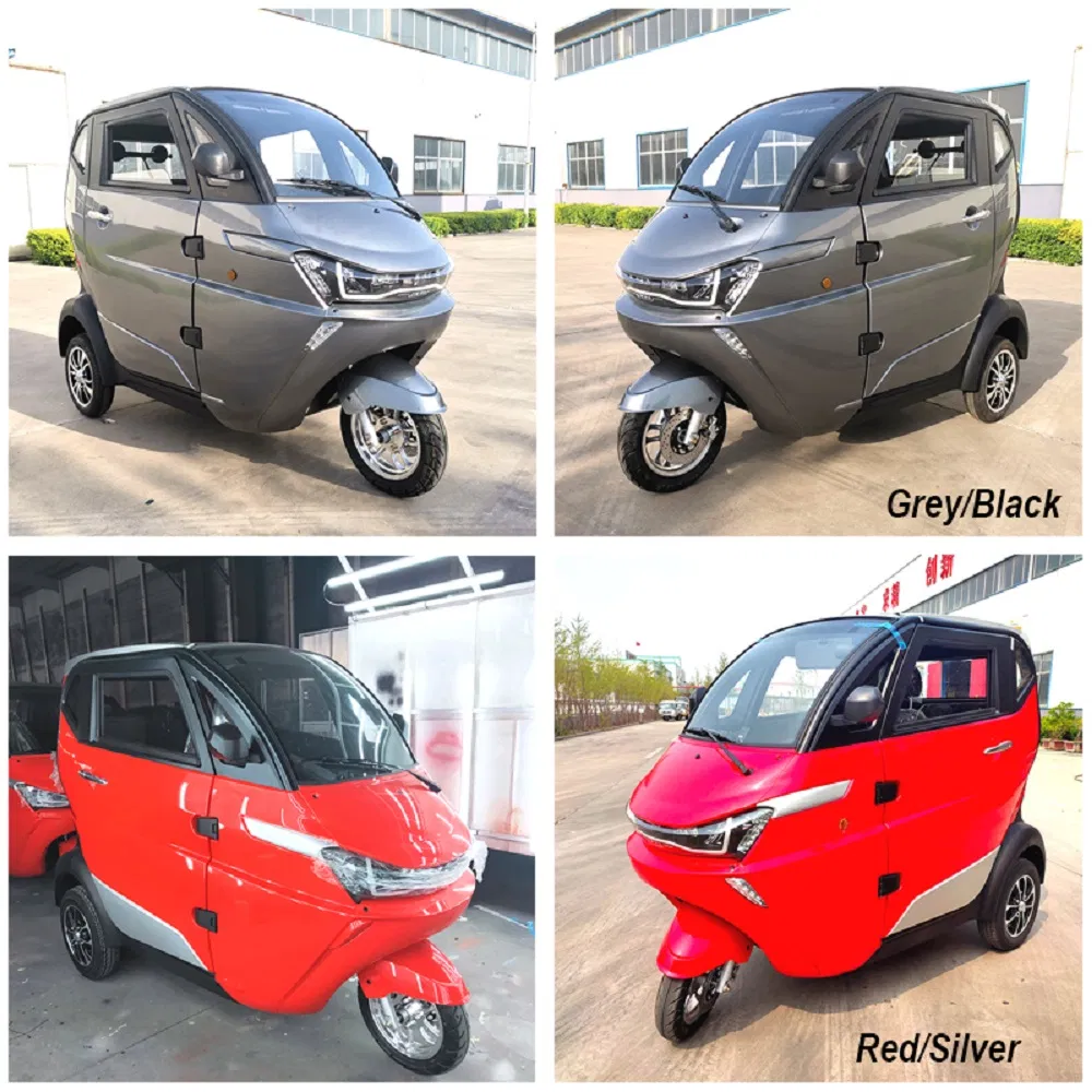 L2e 35km/H Enclosed Passenger Electric Tricycle for France