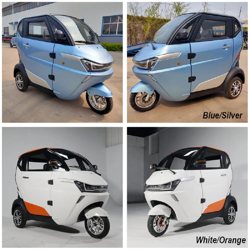 L2e 35km/H Enclosed Passenger Electric Tricycle for France