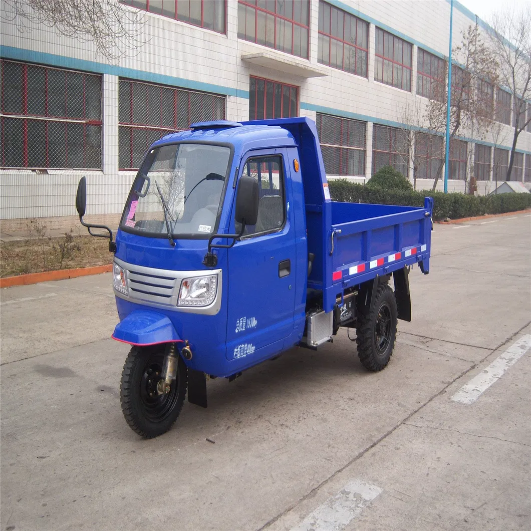 Made in China Tricycle Suitable for Gold Mine Low Price