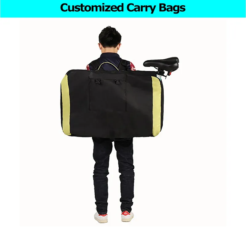 Mini Light Weight Front Drive Pedal Assist Portable Folding E Bike with Removeable Lithium Power