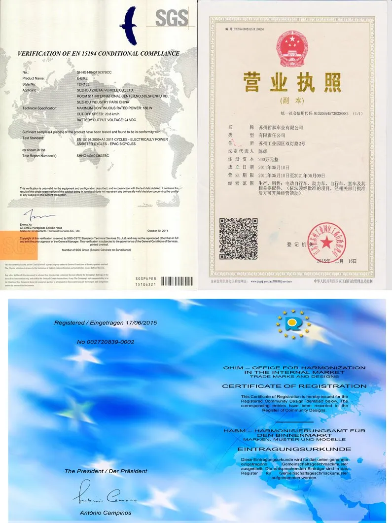 Mini Light Weight Front Drive Pedal Assist Portable Folding E Bike with Removeable Lithium Power