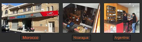 Motorcycle Accessory Motorcycle Chain Tensioner for Kymco Gy6125