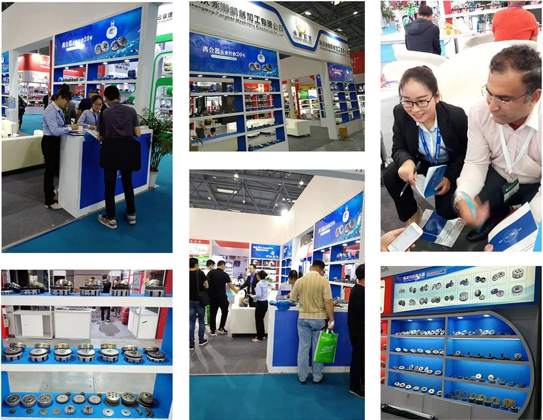 Motorcycle Clutch Primary Driven Gear Comp for Honda Motorcycles (CBT250/DY250)