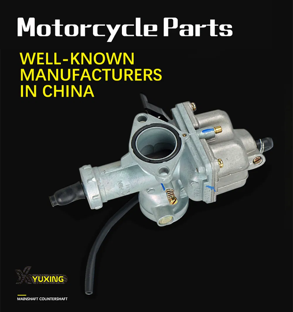 Motorcycle Engine Parts Carburetor for Cgl
