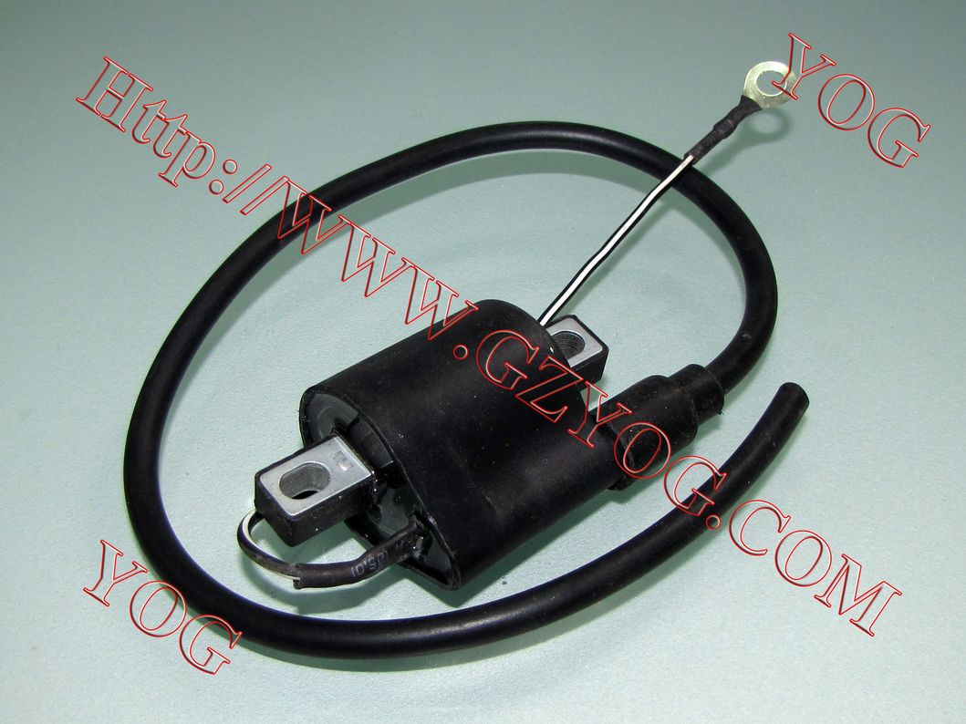 Motorcycle Ignition Coil Bobina Alta GS125 CB125ace Dream
