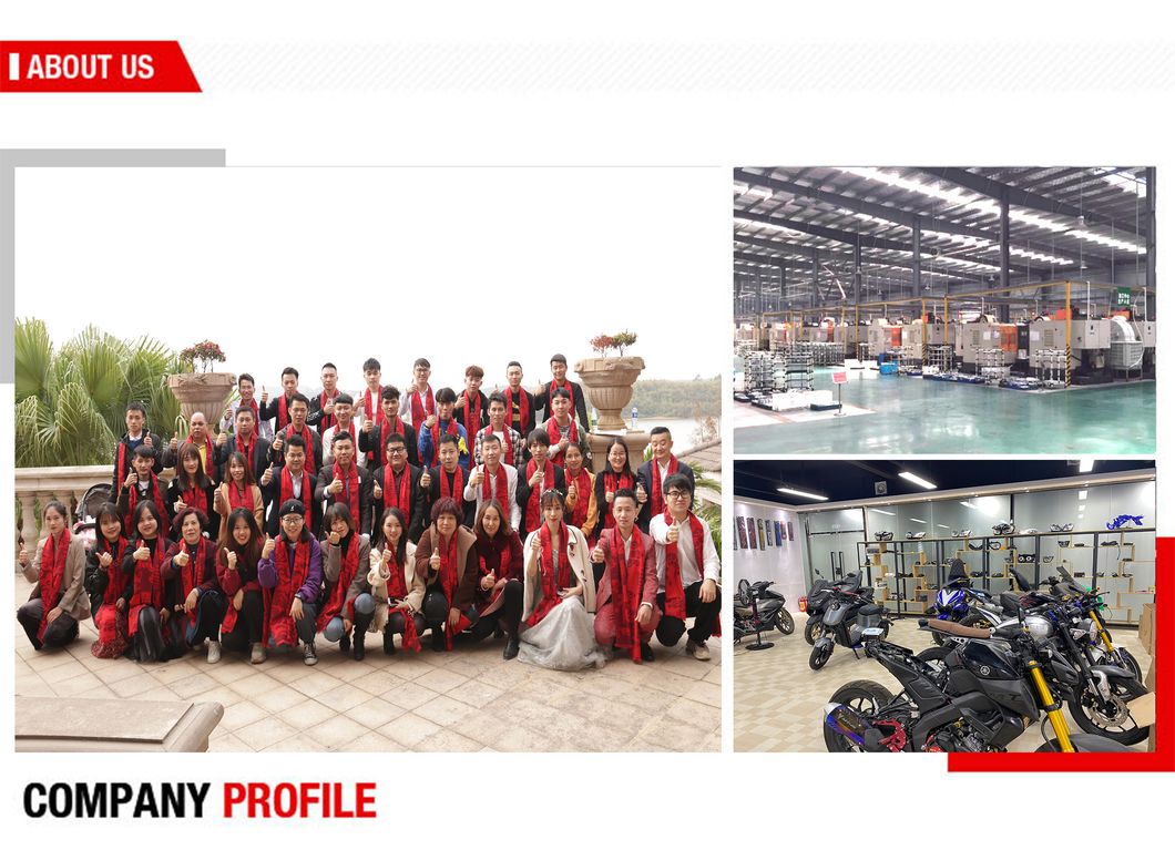 Motorcycle Mountings Footrest for Pcx