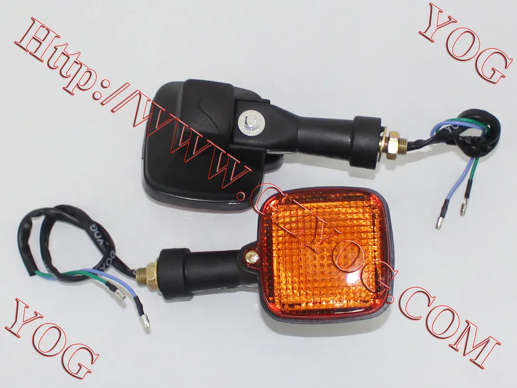 Motorcycle Parts Indicator for Tvs Victor/ Max100