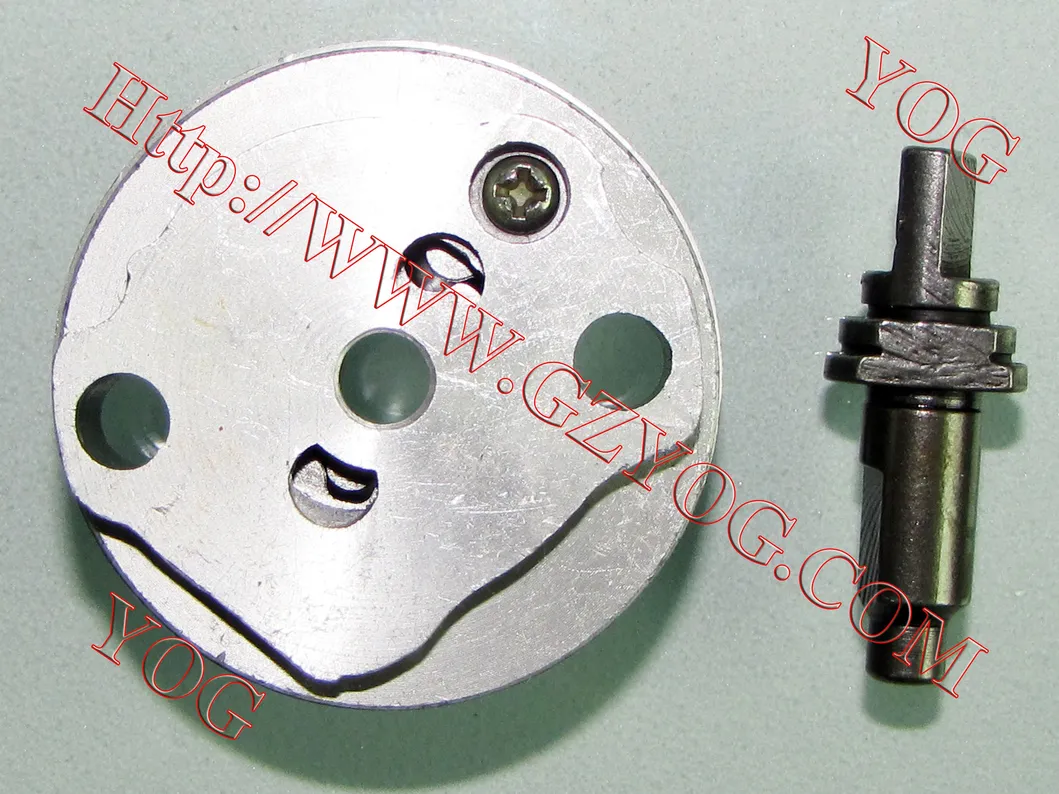 Motorcycle Spare Parts Motorcycle Oil Pump Ax100 Cg200 Gy6-125