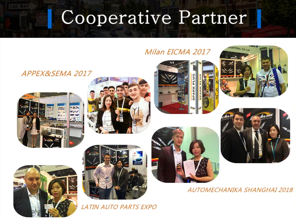 Motorcycle Spark Plug CPR8ea-9 for Hero Honda Xtreme 200r (model from Oct′18)