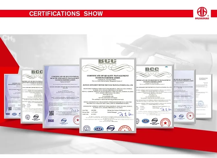 New 48V500W 3 Wheel Electric Vehicl for Two Passengers Use