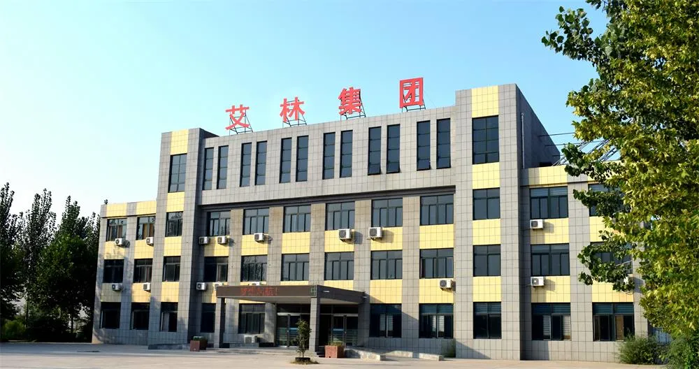 New Arrival Electric Trike Tricycle 500W 3 Wheel Electric Cargo Tricycle 20 Inch