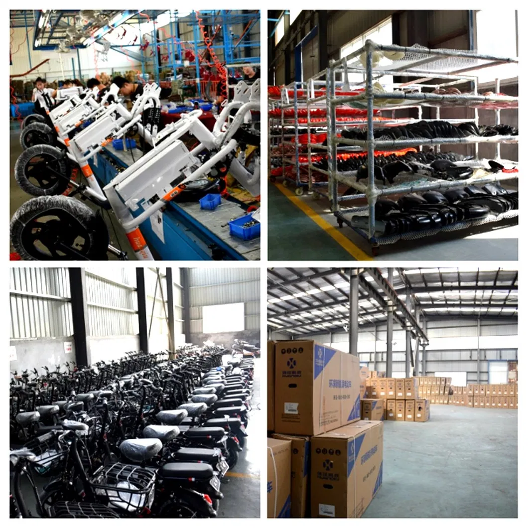 New Arrival Electric Trike Tricycle 500W 3 Wheel Electric Cargo Tricycle 20 Inch