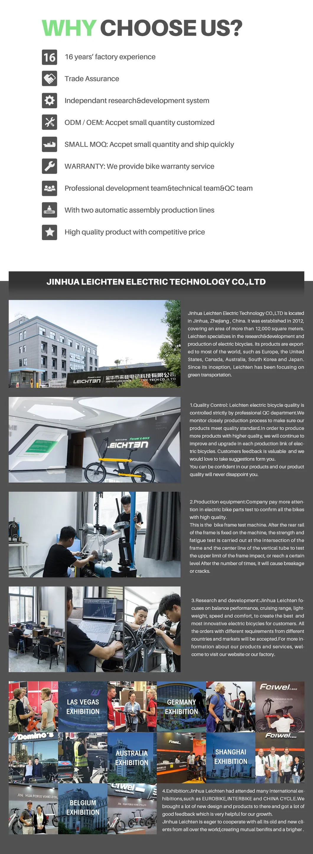 New Design City Electric Bike 36V 250W Electric Bicycle LED Light City E Bike