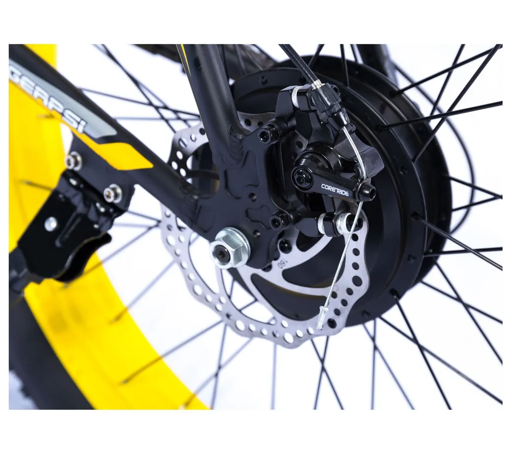 New Product 48V 1000W Fat Tire Ebike Mountain Electric Bike Bicycle with Lithium Battery