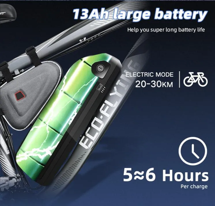 New Product 48V 1000W Fat Tire Ebike Mountain Electric Bike Bicycle with Lithium Battery