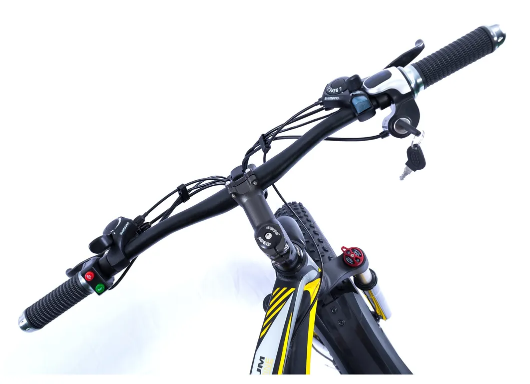 New Product 48V 1000W Fat Tire Ebike Mountain Electric Bike Bicycle with Lithium Battery