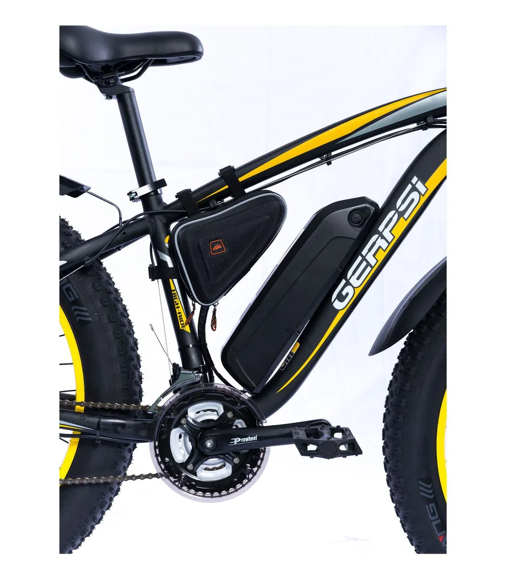 New Product 48V 1000W Fat Tire Ebike Mountain Electric Bike Bicycle with Lithium Battery
