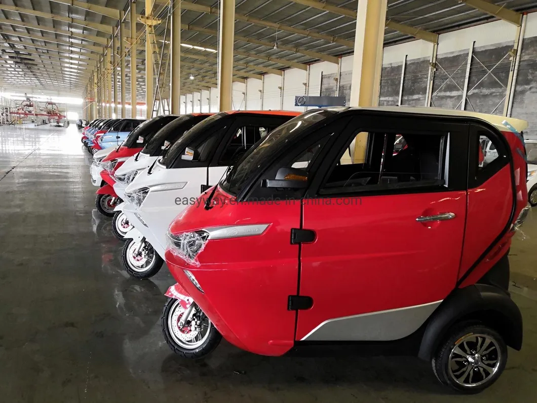 New Style Auto Rickshaw with Lithium Battery