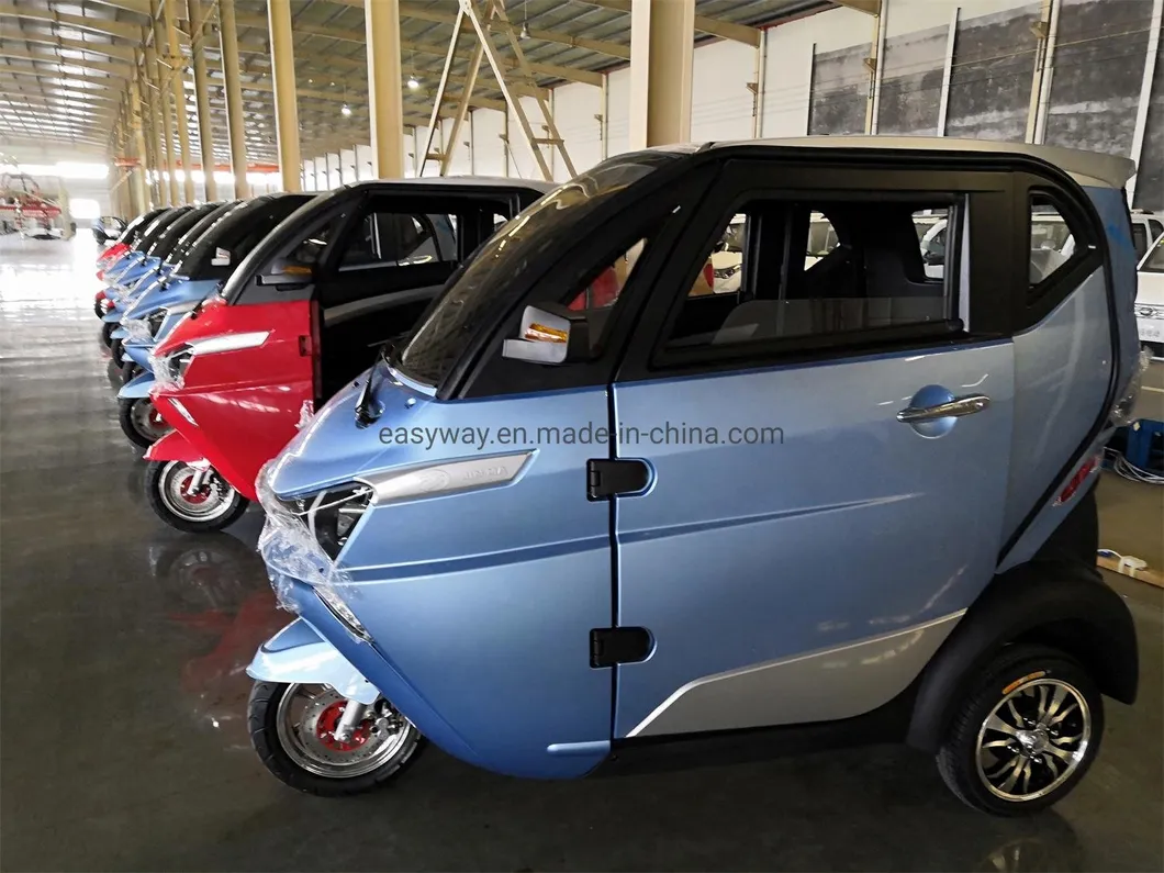 New Style Auto Rickshaw with Lithium Battery