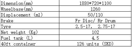 OEM 110cc Gas Motorcycle Cub City Sport Motor Bike/Scooter