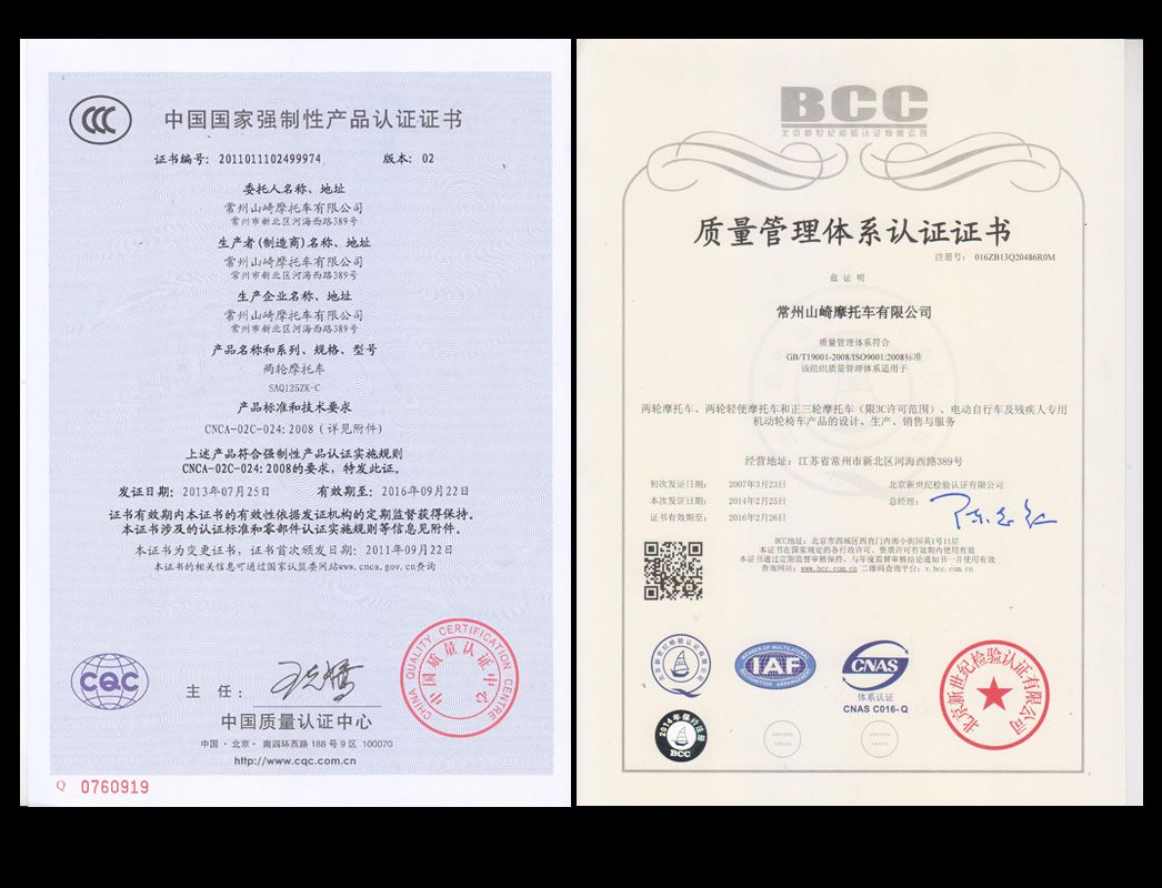 OEM 110cc Gas Motorcycle Cub City Sport Motor Bike/Scooter